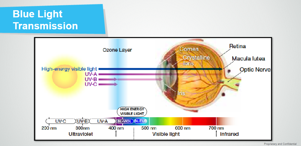 Blue light penetrates all the way through the eye to the retina.​